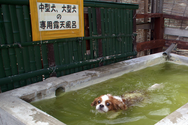 雫石