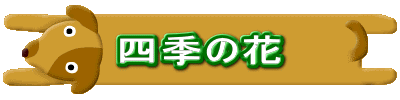 lG̉ 